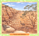 Semi Arid Habitat