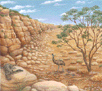 Semi-arid