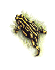 corroboree frog